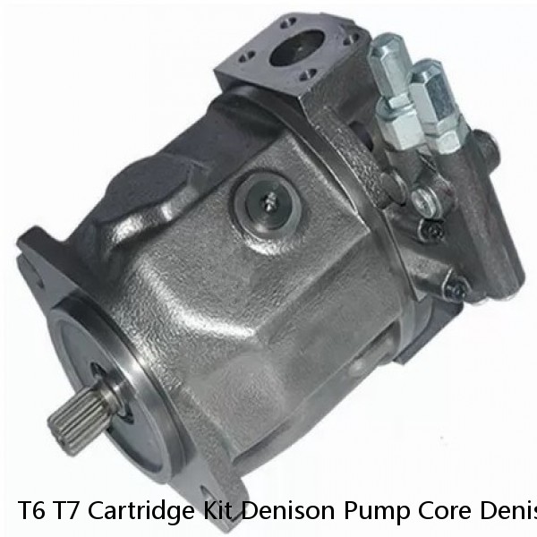 T6 T7 Cartridge Kit Denison Pump Core Denison Cartridge